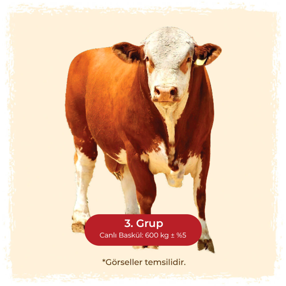 Büyükbaş 3. Grup I 1/7 Hisse Bedeli I 35 ± 2 kg kemiksiz et - 1