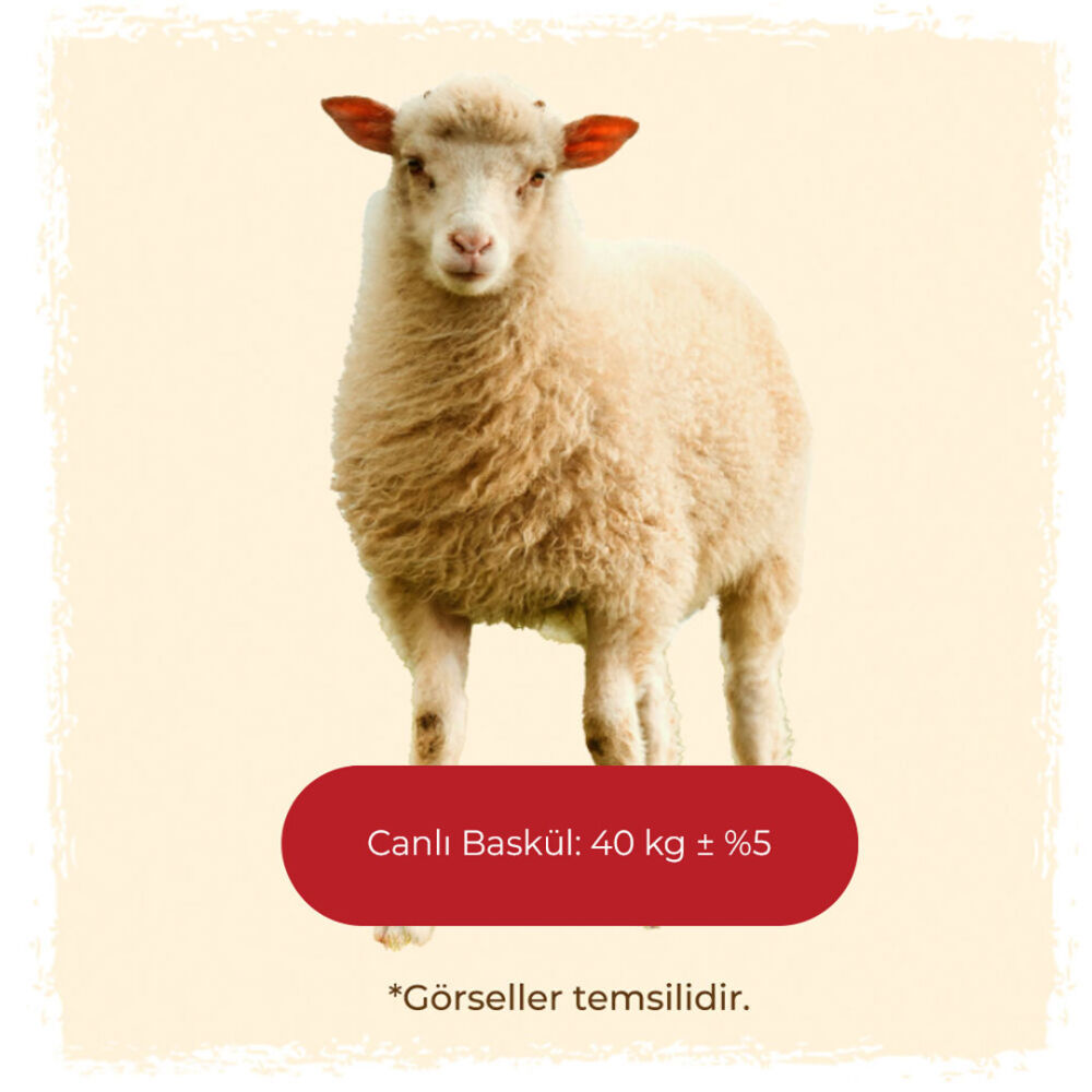 Küçükbaş - Kıvırcık I 18 ± 2 kg kemikli et - 1